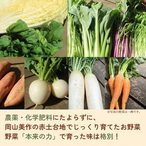 【畑から直送】岡山美作産　旬を楽しみ味覚を育む野菜約8種(約5kg)_野菜 玉ねぎ  たまねぎ タマネギ  野菜 じゃがいも いも ジャガイモ 馬鈴薯  野菜 さつまいも いも サツマイモ 薩摩芋  野菜  いも イモ 芋  野菜 人参 根菜 にんじん ニンジン  野菜 大根 根菜 だいこん ダイコン  野菜 にんにく・生姜 根菜 ニンニク にんにく しょうが ショウガ  野菜  根菜   野菜 かぼちゃ  カボチャ 南瓜  野菜 茄子  なす ナス  野菜 レタス    野菜   _【配送不可地域：離島】【1524200】
