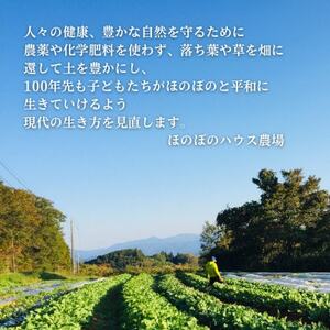 【畑から直送】岡山美作産　旬を楽しみ味覚を育む野菜約8種(約5kg)_野菜 玉ねぎ  たまねぎ タマネギ  野菜 じゃがいも いも ジャガイモ 馬鈴薯  野菜 さつまいも いも サツマイモ 薩摩芋  野菜  いも イモ 芋  野菜 人参 根菜 にんじん ニンジン  野菜 大根 根菜 だいこん ダイコン  野菜 にんにく・生姜 根菜 ニンニク にんにく しょうが ショウガ  野菜  根菜   野菜 かぼちゃ  カボチャ 南瓜  野菜 茄子  なす ナス  野菜 レタス    野菜   _【配送不可地域：離島】【1524200】