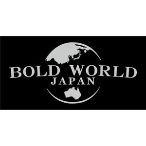 ふるさと納税モデルBOLDWORLD エアサスペンション (セダン・ワゴン用)岡山県美作市受注生産_家電製品 アウトドア・カー用品  _【1510526】