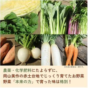 岡山美作の赤土台地でじっくり育てた季節の野菜約8種類と平飼い卵(6個入り)のセットです。_野菜 玉ねぎ  たまねぎ タマネギ  卵・乳製品 卵  たまご タマゴ 玉子  野菜 じゃがいも いも ジャガイモ 馬鈴薯  野菜 さつまいも いも サツマイモ 薩摩芋  野菜  いも イモ 芋  野菜  トマト   野菜 人参 根菜 にんじん ニンジン  野菜 大根 根菜 だいこん ダイコン  野菜 にんにく・生姜 根菜 ニンニク にんにく しょうが ショウガ  野菜  根菜   野菜 かぼちゃ  カボチャ 南瓜  野菜 茄子  なす ナス  野菜 レタス    野菜   _【配送不可地域：離島】【1530200】
