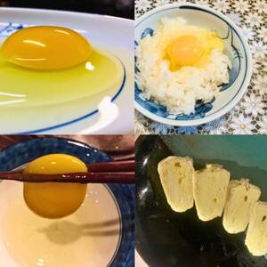 岡山美作の赤土台地でじっくり育てた季節の野菜約8種類と平飼い卵(6個入り)のセットです。_野菜 玉ねぎ  たまねぎ タマネギ  卵・乳製品 卵  たまご タマゴ 玉子  野菜 じゃがいも いも ジャガイモ 馬鈴薯  野菜 さつまいも いも サツマイモ 薩摩芋  野菜  いも イモ 芋  野菜  トマト   野菜 人参 根菜 にんじん ニンジン  野菜 大根 根菜 だいこん ダイコン  野菜 にんにく・生姜 根菜 ニンニク にんにく しょうが ショウガ  野菜  根菜   野菜 かぼちゃ  カボチャ 南瓜  野菜 茄子  なす ナス  野菜 レタス    野菜   _【配送不可地域：離島】【1530200】