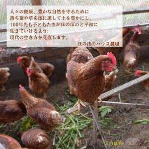岡山美作の赤土台地でじっくり育てた季節の野菜約8種類と平飼い卵(6個入り)のセットです。_野菜 玉ねぎ  たまねぎ タマネギ  卵・乳製品 卵  たまご タマゴ 玉子  野菜 じゃがいも いも ジャガイモ 馬鈴薯  野菜 さつまいも いも サツマイモ 薩摩芋  野菜  いも イモ 芋  野菜  トマト   野菜 人参 根菜 にんじん ニンジン  野菜 大根 根菜 だいこん ダイコン  野菜 にんにく・生姜 根菜 ニンニク にんにく しょうが ショウガ  野菜  根菜   野菜 かぼちゃ  カボチャ 南瓜  野菜 茄子  なす ナス  野菜 レタス    野菜   _【配送不可地域：離島】【1530200】