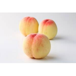 2026年先行予約　岡山白桃　ロイヤル　(1箱3玉入り)800g_果物・フルーツ もも  モモ 桃_【配送不可地域：離島】【1598070】