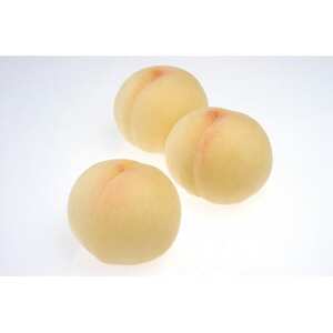 2026年先行予約　岡山白桃　ロイヤル　(1箱3玉入り)800g_果物・フルーツ もも  モモ 桃_【配送不可地域：離島】【1598070】