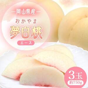 2026年先行予約　岡山県産おかやま夢白桃3玉　エース_果物・フルーツ もも  モモ 桃_【配送不可地域：離島】【1601401】