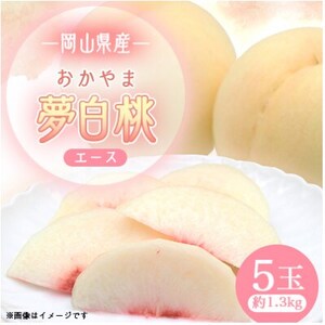 2026年先行予約　岡山県産おかやま夢白桃5玉【エース】_果物・フルーツ もも  モモ 桃_【配送不可地域：離島】【1601408】