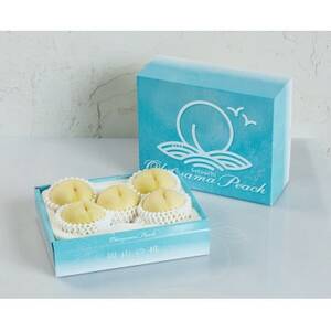 2026年先行予約　岡山県産おかやま夢白桃5玉【エース】_果物・フルーツ もも  モモ 桃_【配送不可地域：離島】【1601408】