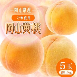 2026年先行予約　岡山黄桃　5玉　【ご家庭用】1.5キロ_果物・フルーツ もも  モモ 桃_【1601436】