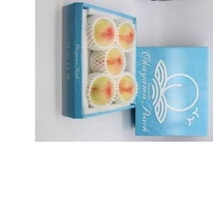 2026年先行予約　白鳳　5玉　1.3キロ_果物・フルーツ もも  モモ 桃_【配送不可地域：離島】【1601453】