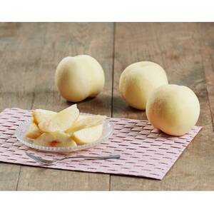 2026年先行予約　岡山県産おかやま夢白桃5玉【ロイヤル】_果物・フルーツ もも  モモ 桃_【配送不可地域：離島】【1601409】