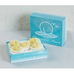 2026年先行予約　岡山県産おかやま夢白桃5玉【ロイヤル】_果物・フルーツ もも  モモ 桃_【配送不可地域：離島】【1601409】