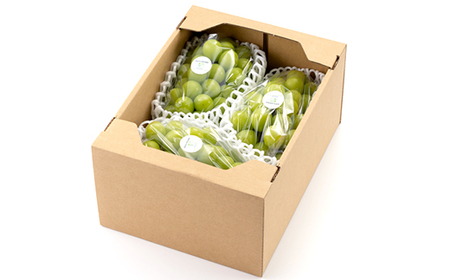 岡山県美作市産 シャインマスカット 2kg_果物・フルーツ ぶどう・マスカット  ブドウ 葡萄 _【配送不可地域：離島】【1609174】