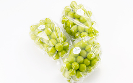 岡山県美作市産 シャインマスカット 2kg_果物・フルーツ ぶどう・マスカット  ブドウ 葡萄 _【配送不可地域：離島】【1609174】