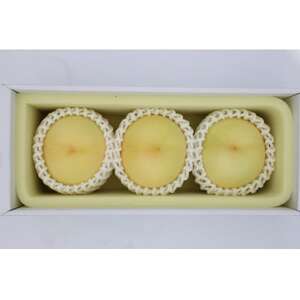 2026年 岡山白桃ロイヤル晩生(1箱3玉)800g_果物・フルーツ もも モモ 桃_【配送不可地域:離島】【1611258】