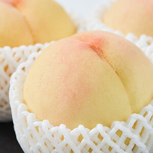 2026年先行予約　岡山県産　清水白桃　3kg(8～9玉)_果物・フルーツ もも  モモ 桃_【配送不可地域：離島】【1615820】