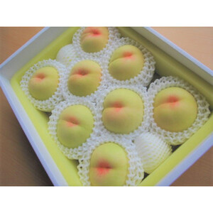 2026年先行予約　岡山県産　清水白桃　3kg(8～9玉)_果物・フルーツ もも  モモ 桃_【配送不可地域：離島】【1615820】