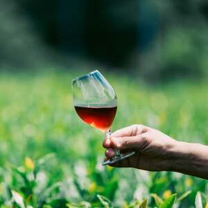 凪 -nagi-_飲料・ドリンク 飲料 茶 _【1614820】