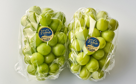 2026年先行予約　岡山県産シャインマスカット1.3kg(2房)_果物・フルーツ ぶどう・マスカット  ブドウ 葡萄 _【配送不可地域：離島】【1615817】