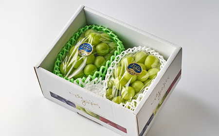 2026年先行予約　岡山県産シャインマスカット1.3kg(2房)_果物・フルーツ ぶどう・マスカット  ブドウ 葡萄 _【配送不可地域：離島】【1615817】