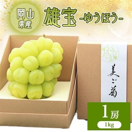 2026年先行予約　雄宝　1房　1キロ_果物・フルーツ ぶどう・マスカット  ブドウ 葡萄 _【配送不可地域：離島】【1616174】