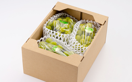 【訳あり】シャインマスカット 2Kg【配送不可地域：離島】【1631232】