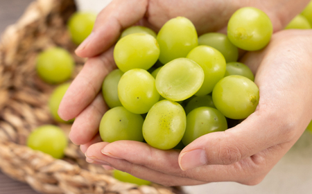 【訳あり】シャインマスカット 2Kg【配送不可地域：離島】【1631232】