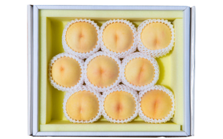 【先行予約★2026年7月下旬より順次発送予定】岡山県産 清水白桃(2kg箱)【配送不可地域:離島・北海道・沖縄県】【1667419】