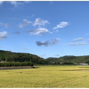 【令和7年産】精米 きぬむすめ5kg&いちご詰合せ(約280g×2パック)【配送不可地域:離島・北海道・沖縄県】【1676469】