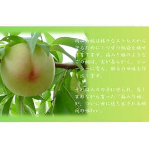 岡山白桃食べ比べ 晩生2種2玉【配送不可地域:離島】【1684882】