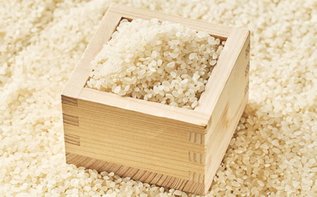 【令和7年産】【無洗米】岡山県産こしひかり8kg(2kg×4袋)【1695603】