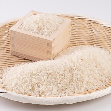 【令和7年産】岡山県産こしひかり10kg(5kg×2袋)|精米HACCP認証工場|安定品質・迅速発送【1695605】