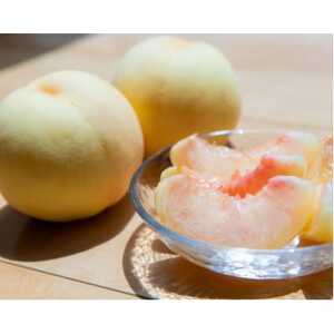 【2026年7月中旬より順次発送予定】岡山の桃　品種おまかせ　2kg箱(約6～9玉入り)【配送不可地域：離島・北海道・沖縄県】【1714409】