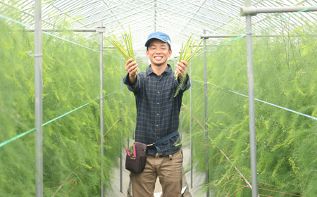 岡山県産　朝採れアスパラガス　1キロ_野菜 アスパラガス  _【配送不可地域：離島】【1143586】