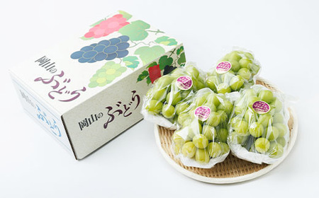 【2026年先行受付】岡山県産 朝採りシャインマスカット 2kg_果物・フルーツ ぶどう・マスカット ブドウ 葡萄 _【配送不可地域:離島】【1073053】