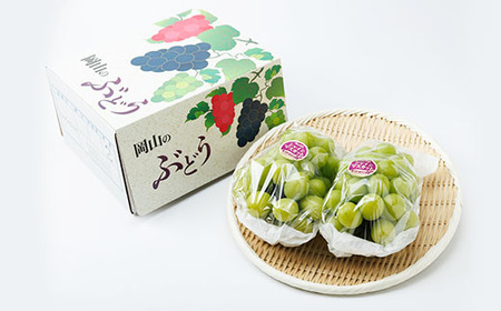 【2026年先行受付】岡山県産　朝採りシャインマスカット　1.3kg_果物・フルーツ ぶどう・マスカット  ブドウ 葡萄 _【配送不可地域：離島】【1395859】