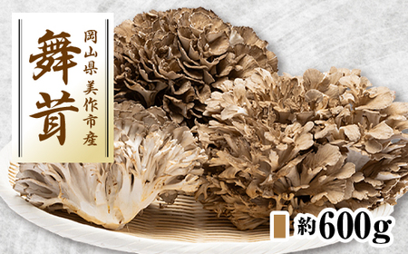 舞茸 約600g_野菜 きのこ _【配送不可地域：離島】【1154814】 | 岡山
