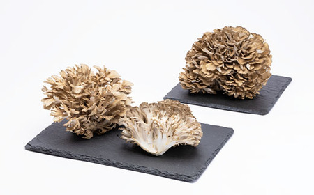 舞茸 約600g_野菜 きのこ _【配送不可地域：離島】【1154814】 | 岡山