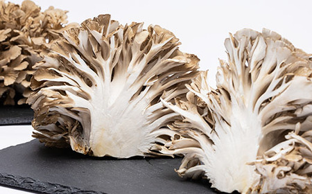 舞茸 約600g_野菜 きのこ _【配送不可地域：離島】【1154814】 | 岡山