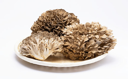 舞茸 約600g_野菜 きのこ _【配送不可地域：離島】【1154814】 | 岡山