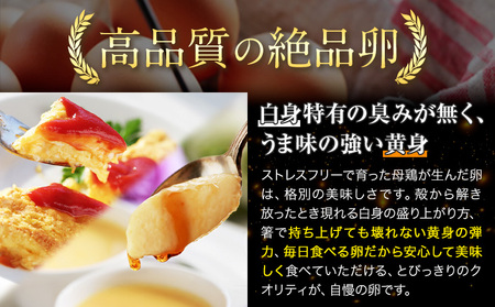 卵 たまご 赤玉 夢の卵 90個《90日以内に出荷予定(土日祝除く)》株式会社めぐみ 岡山県 浅口市 送料無料 大容量 大箱 たっぷり