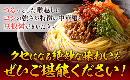 手延べピリ辛中華 タレ付き 1袋300g ( 麺 180g スープ 60g×2 ) 2食入 × 5袋 計10食 奥島屋 株式会社奥島創麺巧房《30日以内に発送予定(土日祝除く)》岡山県 浅口市 送料無料 中華麺 冷やし中華 冷麺 細麺 豆板醤 ゴマ油