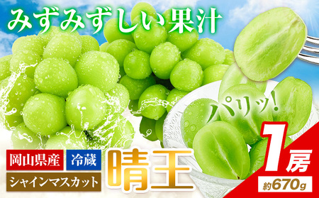 【2026年発送】シャインマスカット 晴王 約670g   ハレノフルーツ マスカット