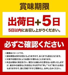 シャインマスカット マスカット 晴王 ぶどう【2025年先行予約】シャインマスカット 晴王 1房 500g 岡山県産《9月上旬-11月中旬頃出荷(土日祝除く)》 ハレノフルーツ マスカット 送料無料 岡山県 浅口市 フルーツ 果物 贈り物 ギフト 国産 岡山県産 くだもの 青果物 【配送不可地域あり】（北海道・沖縄・離島）