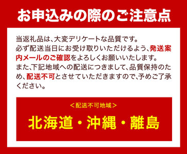 シャインマスカット マスカット 晴王 ぶどう【2025年先行予約】シャインマスカット 晴王 1房 500g 岡山県産《9月上旬-11月中旬頃出荷(土日祝除く)》 ハレノフルーツ マスカット 送料無料 岡山県 浅口市 フルーツ 果物 贈り物 ギフト 国産 岡山県産 くだもの 青果物 【配送不可地域あり】（北海道・沖縄・離島）