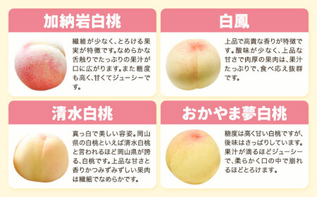 【先行予約】岡山の桃食べ比べ定期便3回コース 株式会社山博 (中本青果)《7月上旬-9月下旬頃出荷》岡山県 浅口市 桃 もも フルーツ 旬 果物 国産 岡山県産 送料無料 冷蔵 食べ比べ 定期便 定期【配送不可地域あり】（北海道・沖縄・離島）旬の桃 定期便 計3回届く 定期便 桃桃桃桃桃