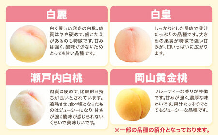 【先行予約】岡山の桃食べ比べ定期便3回コース 株式会社山博 (中本青果)《7月上旬-9月下旬頃出荷》岡山県 浅口市 桃 もも フルーツ 旬 果物 国産 岡山県産 送料無料 冷蔵 食べ比べ 定期便 定期【配送不可地域あり】（北海道・沖縄・離島）旬の桃 定期便 計3回届く 定期便 桃桃桃桃桃