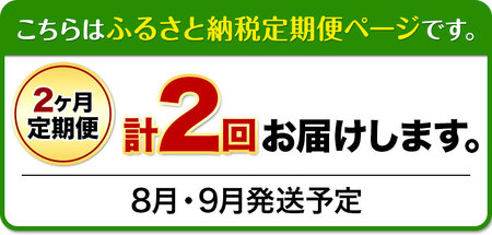 【2025年先行予約】【2ヶ月定期便】 シャインマスカット晴王 はれおう 2房入り(1房600g以上) 化粧箱入 株式会社山博(中本青果)《2025年8月・9月計2回出荷予定》 定期 計2回お届け 岡山県 浅口市 ぶどう マスカット 大粒 フルーツ 秀品 果物 ギフト 送料無料 【配送不可地域あり】