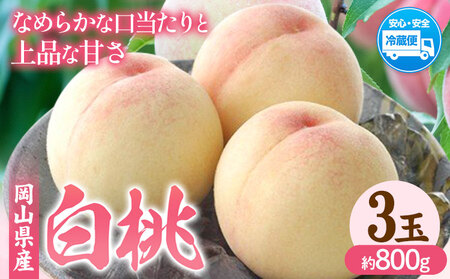 【2026年発送】桃 岡山白桃 約800g 晴れの国おかやま館(フルーツランド岡山)