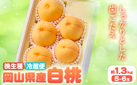 【2026年発送】桃 岡山白桃 約1.3kg 晴れの国おかやま館 (漂流岡山)