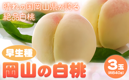 2025年先行予約】岡山の白桃 早生種 3玉 約840g 晴れの国 おかやま館  